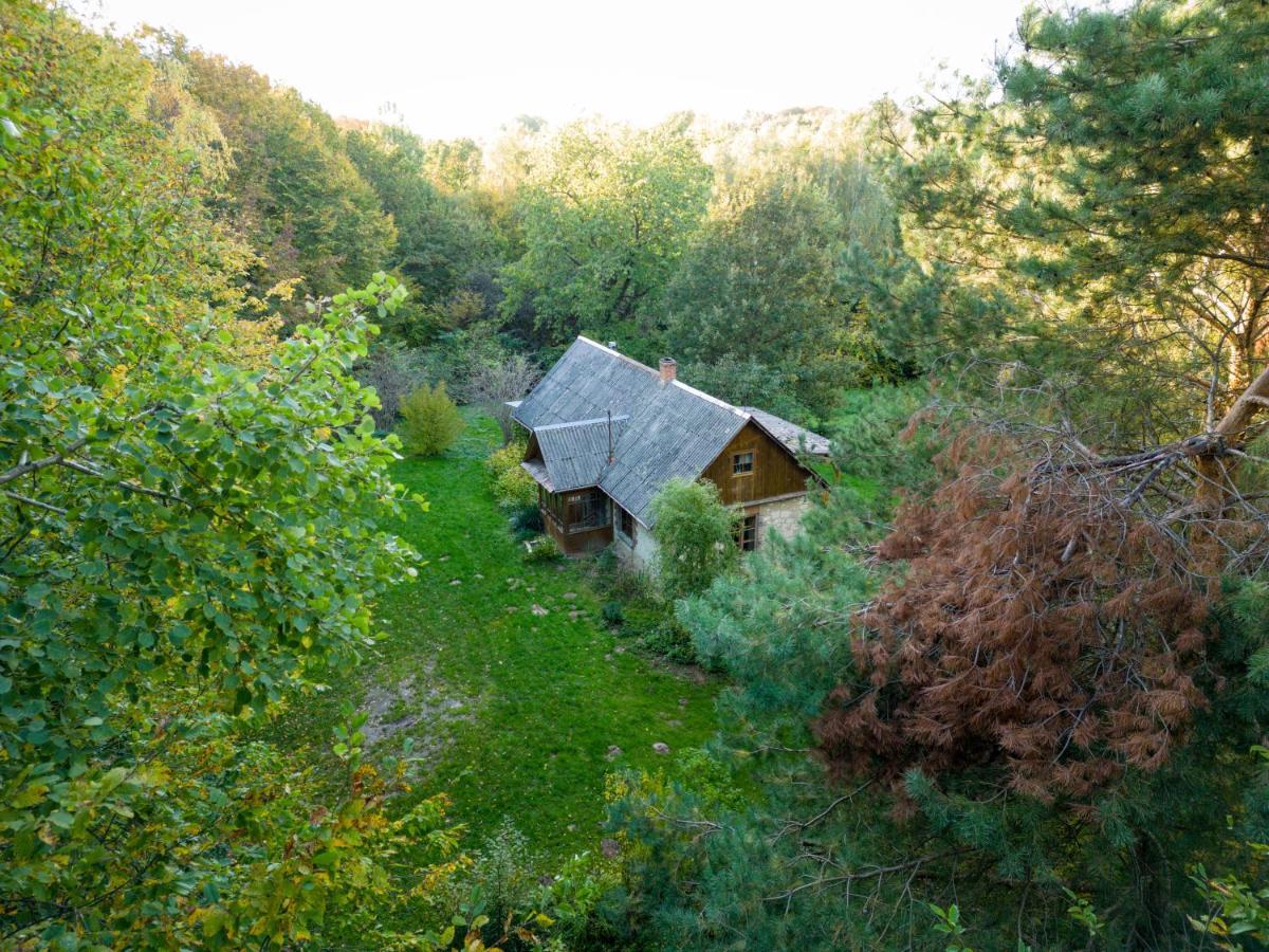 Agroturystyka Siedlisko Wydry - Dom W Srodku Lasu Wierzchoniow Exterior foto
